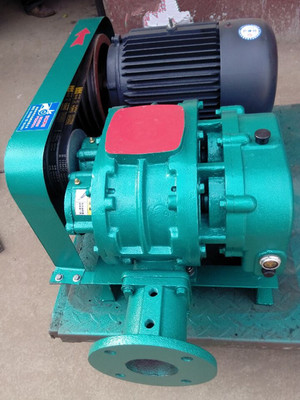 KQSR系列-糧食加工用羅茨風機 _供應(yīng)信息_商機_中國食品機械設(shè)備網(wǎng)