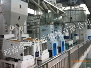 大米加工設(shè)備 成立機(jī)械提供整套加工工藝,大米加工設(shè)備 成立機(jī)械提供整套加工工藝生產(chǎn)廠家,大米加工設(shè)備 成立機(jī)械提供整套加工工藝價格