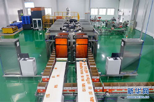 涪陵榨菜 要富農(nóng)產(chǎn)值也要生態(tài) 顏值